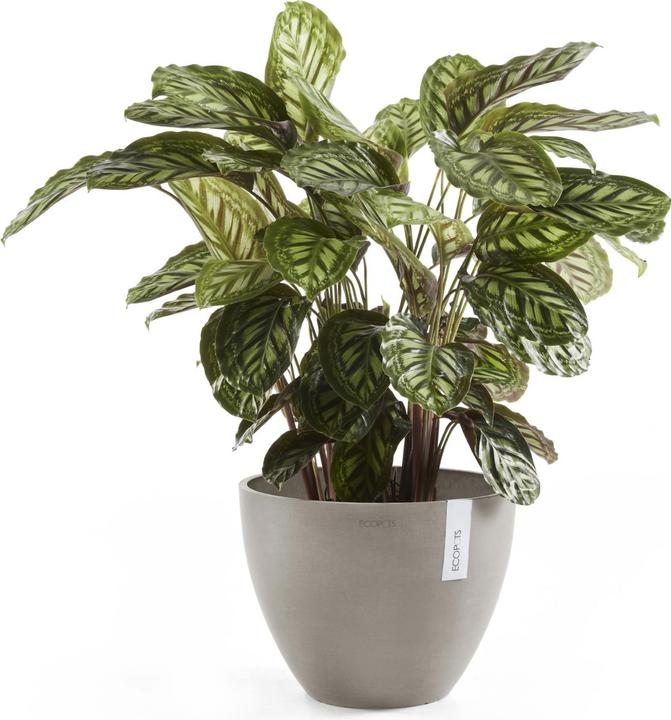 Produktbild Ecopots Antwerp (30 cm)