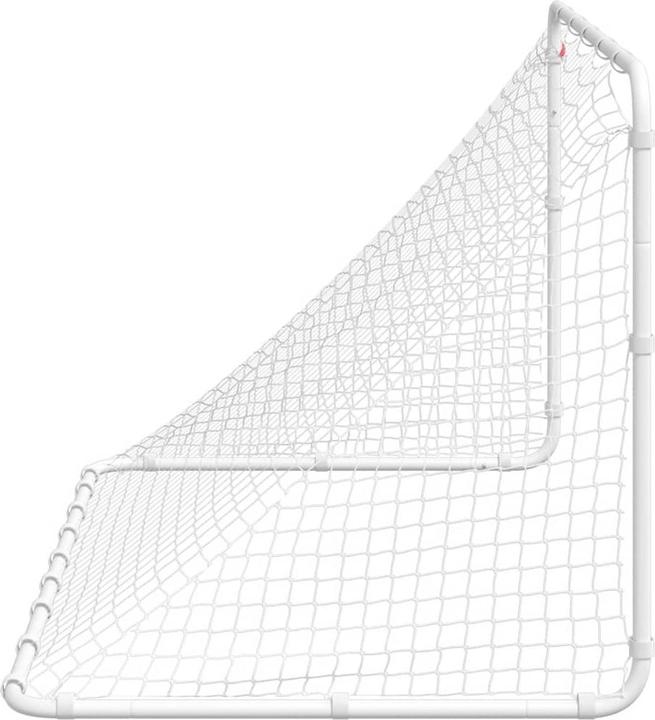 Image du produit VidaXL But de football