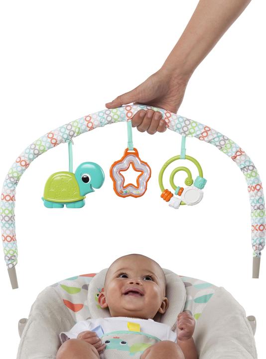 Actual product image Bright Starts Happy safari turtle