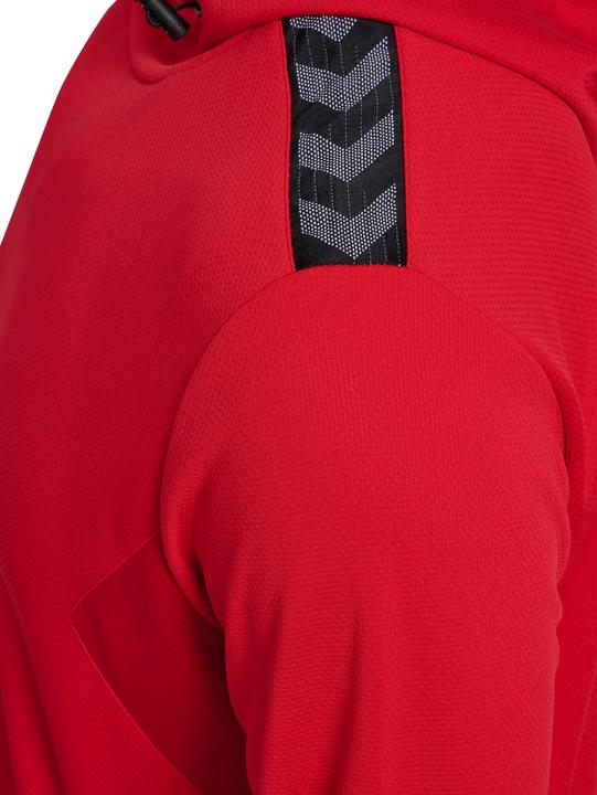 Actual product image hummel Hmlauthentic Pl Hoodie (S)
