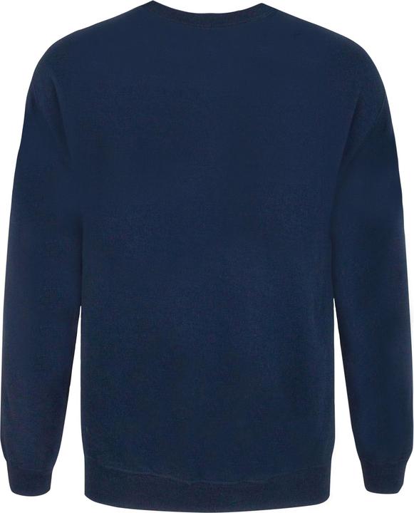 Actual product image Flash Unisex Adults TV STAR Laboratories Sweater (M)