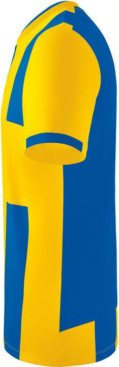 Produktbild Erima Siena 3.0 Trikot (164)