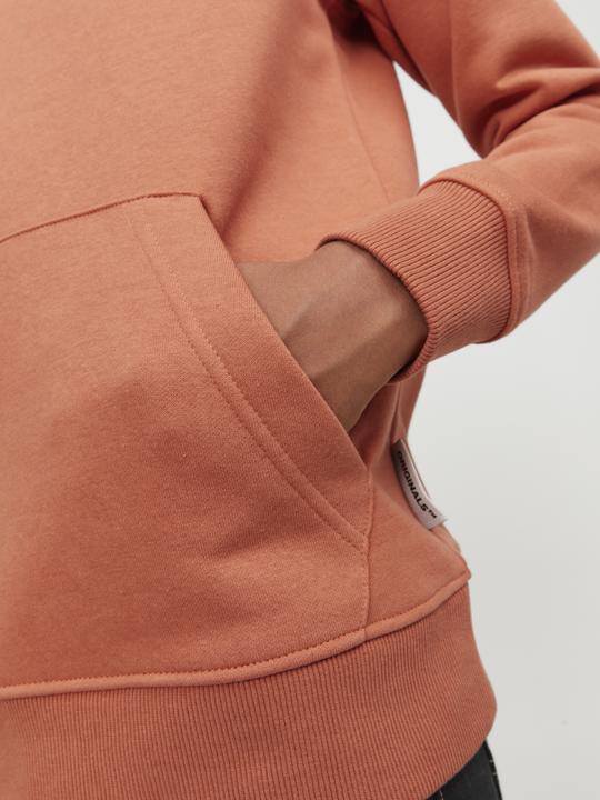Actual product image Jack & Jones Boys Sweat Hoodie (140)