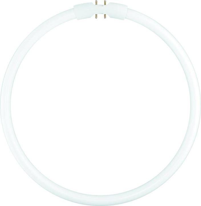 Image du produit Sylvania Circline T5 22W/865 (22.30 W, 1800 lm, 1 x, A)