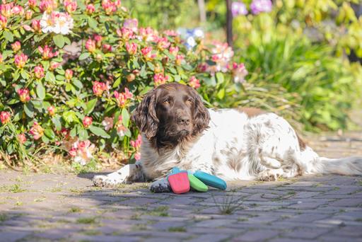 Productafbeelding Beeztees Fill-n-Freeze (Kauwspeeltje voor honden)