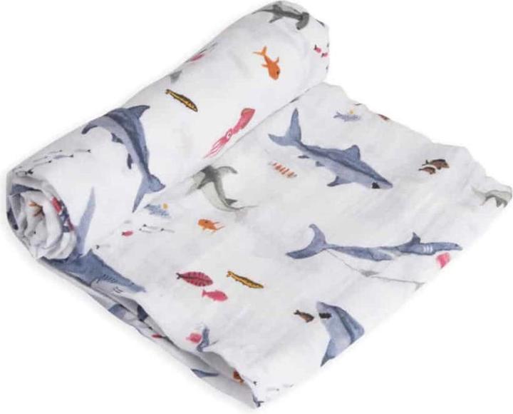 Shark