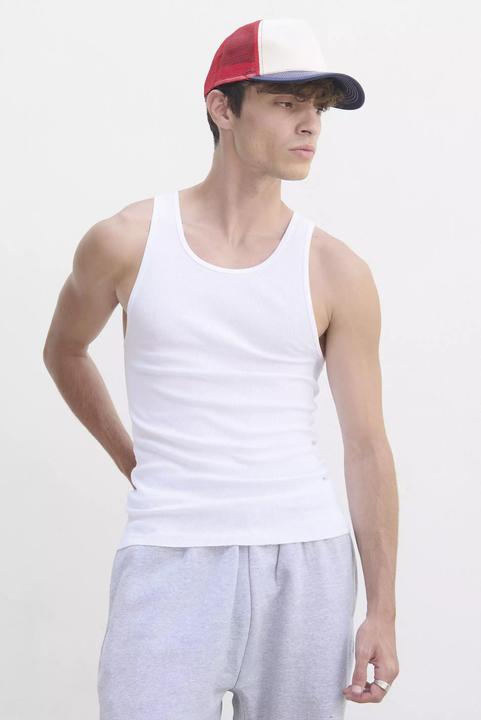 Actual product image Sol's Pablo (L)