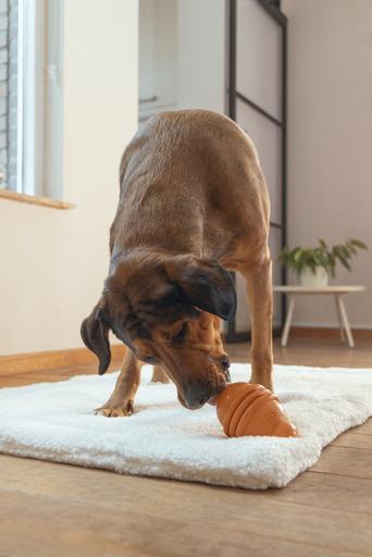 Actual product image Beeztees Sumo Play (Dog chew toy)