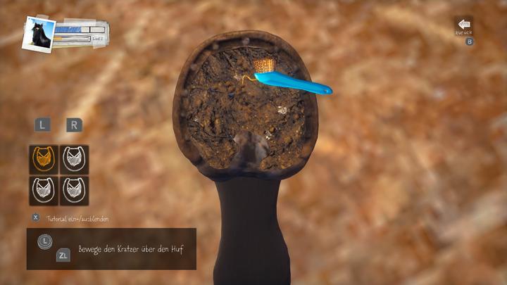 Produktbild Nintendo Ostwind: Das Spiel (Switch, DE)