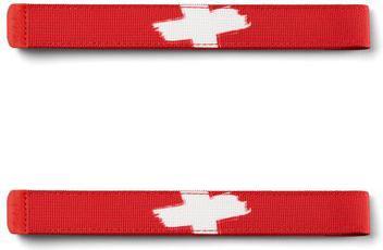 Satch Swaps Switzerland