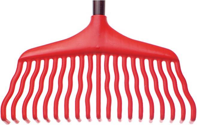 Immagine prodotto Zeintra Foglia di ginestra rossa