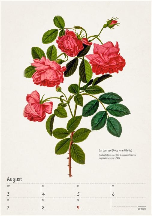 Actual product image Harenberg Bunte Pflanzenwelt Wochenplaner 2026 - 53 historische Illustrationen (Hardcover, German)