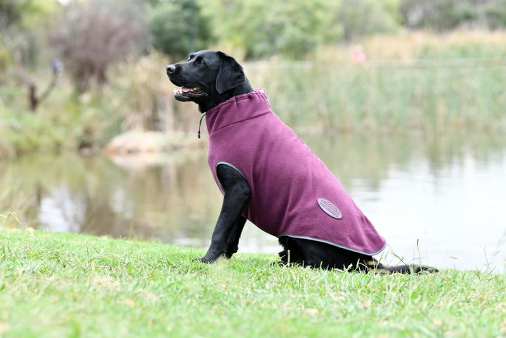 Produktbild Weatherbeeta Comfitec (65, Hundemantel)