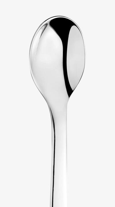 Actual product image WMF Nuova (6 Piece, Scoops)