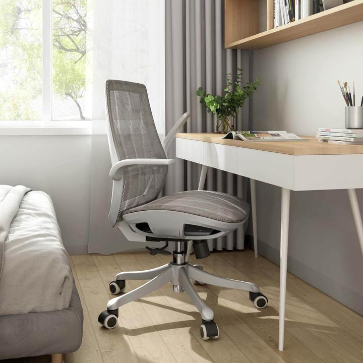 Image du produit Sihoo Chaise de bureau avec soutien lombaire