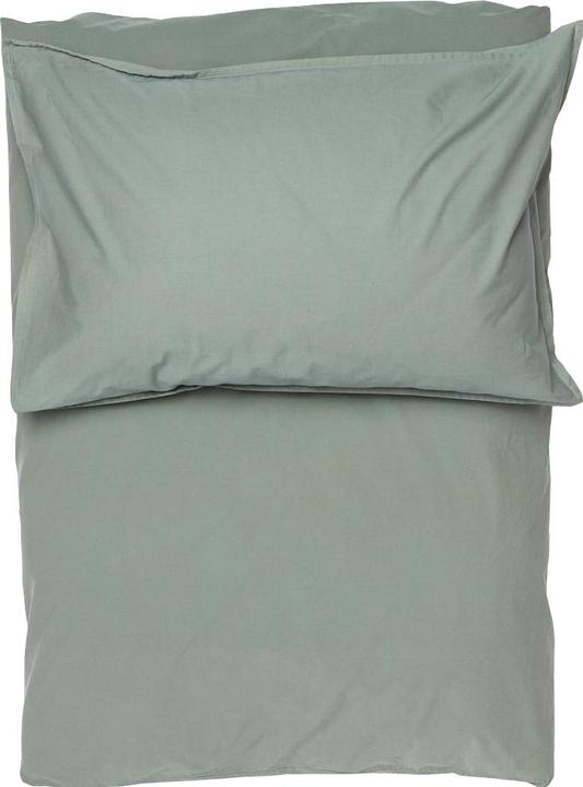 Spruce green