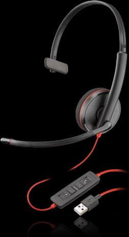 Immagine prodotto Poly Blackwire 3220 (Cablato, USB-A)