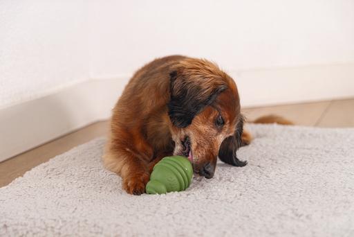 Image du produit Beeztees Sumo Play (Jouet à mâcher pour chien)