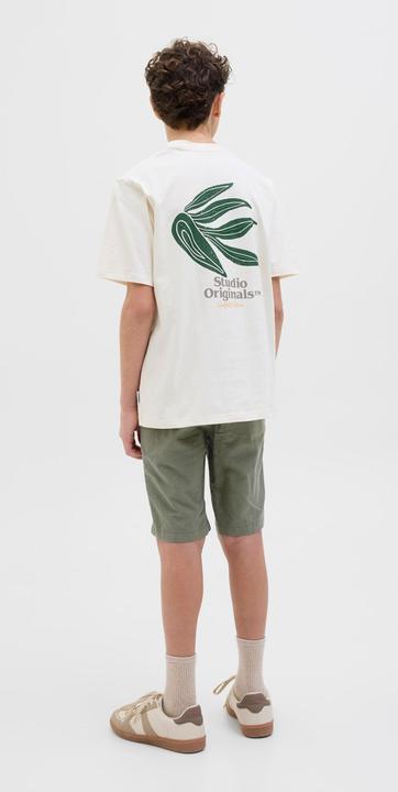 Image du produit Jack & Jones Regular Fit Regular Fit Shorts Junior Regular Fit Shorts (140)