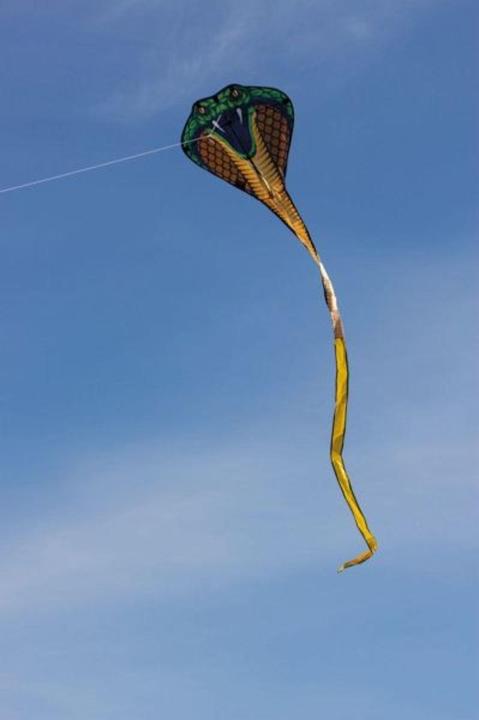 Image du produit Günther Flugspiele Cerf-volant à ligne unique