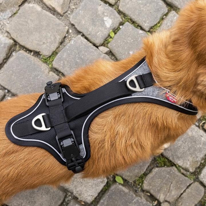 Image du produit Curli Harnais magnétique Belka Comfort (XL, Chien, Général, Promenade)