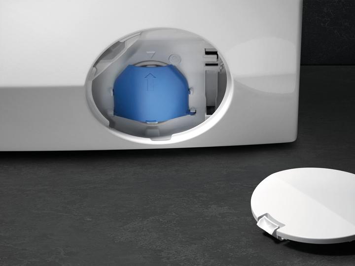 Actual product image AEG LR6D60499 914915145 (9 kg, Left)