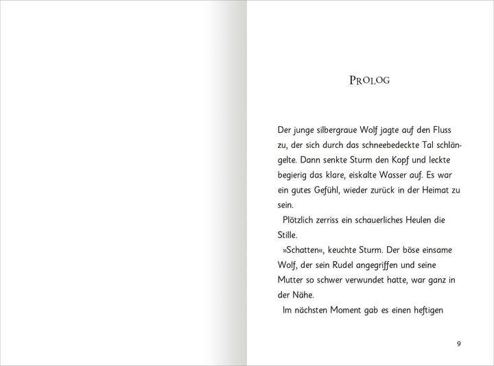 Produktbild Auf magischen Pfoten – Tapsige Abenteuer (Deutsch, Katharina Jürgens, Angela Swan, Meret Farin, Sue Bentley, 2024)