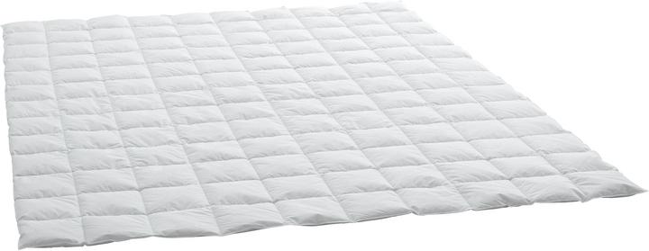 Billerbeck Piumino Billerbeck Verano Basic Superlight