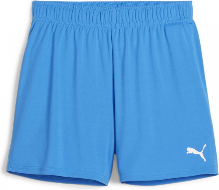 Actual product image Puma teamGOAL Handball Shorts W (XS)