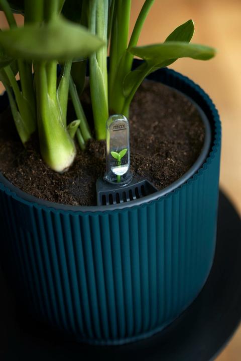 Actual product image Elho Vibes Fold (22 cm)