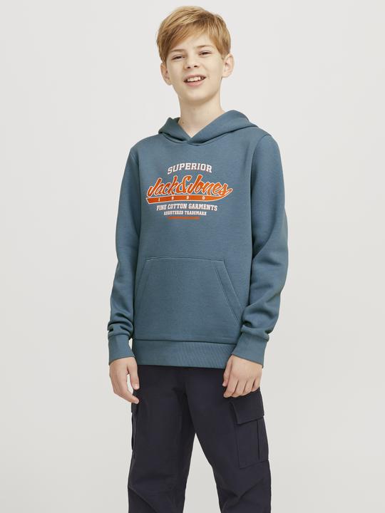 Actual product image Jack & Jones JJELOGO SWEAT HOOD 2 COL 24/25 NOOS JNR (176)