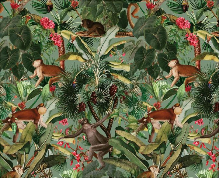 Image du produit Cedon Papier cadeau Singe (Papier cadeau, 100 x)
