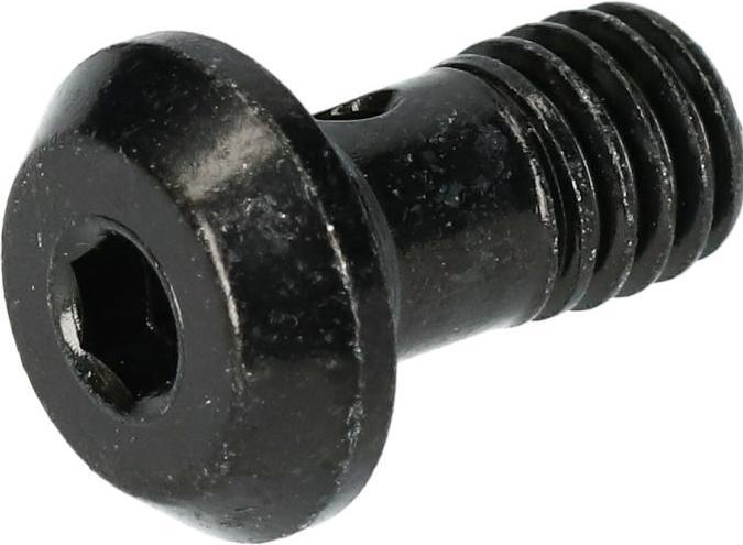 Image du produit Shimano Vis de banjo BR-M8100