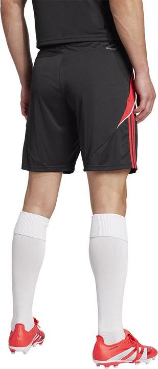 Actual product image adidas TIRO24 TRSHO (XL)