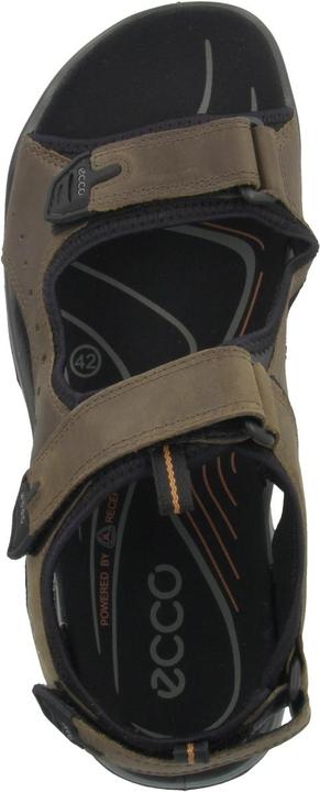Actual product image Ecco Offroad Andes II (45)