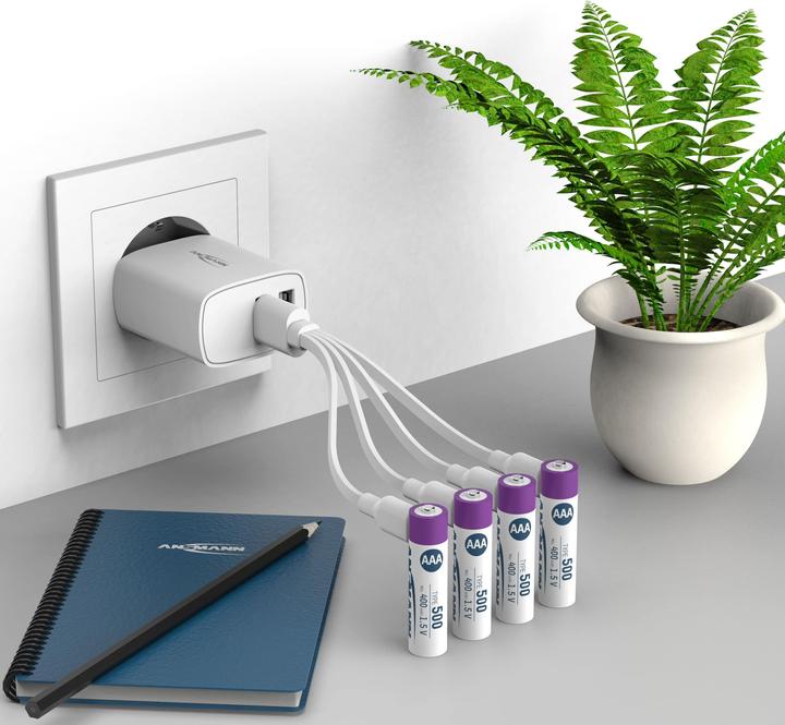 Actual product image Ansmann LR03 USB-C Micro (AAA) rechargeable battery Li-Ion 500 mAh 1.5 V 4 pcs. (4 pcs., AAA, 400 mAh)