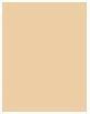 Immagine prodotto Clarins Polvere sciolta Ever Matte (02 Universale Medio)