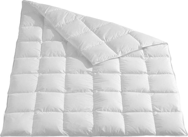 Actual product image Traumschlaf Himalaya (620 g, 160 x 210 cm)
