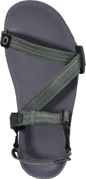 Actual product image Xero Shoes Z-TRAIL EV Men (45)