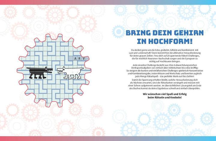 Productafbeelding Die ultimative Rätsel-Challenge Gedächtnistraining (Duits, Naumann & Göbel, 2023)