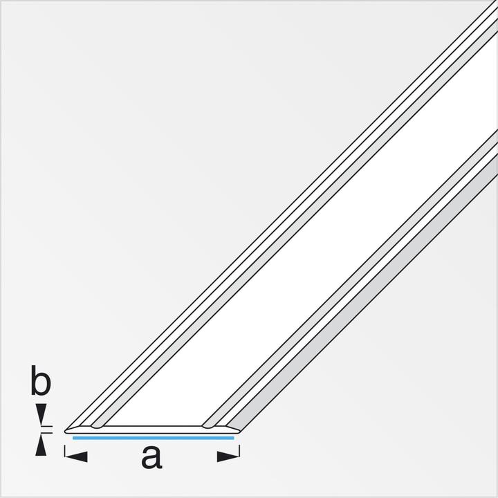 Image du produit Alfer Profilé de transition Alu 1m
