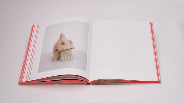 Produktbild Carey-Kent:Jenny Brosinski - Things I'v (Deutsch, Jenny Brosinski, Paul Carey-Kent, Wentrup Almine Rech, Larissa Kikol, Knust Kunz, Maria Vogel, 2024)