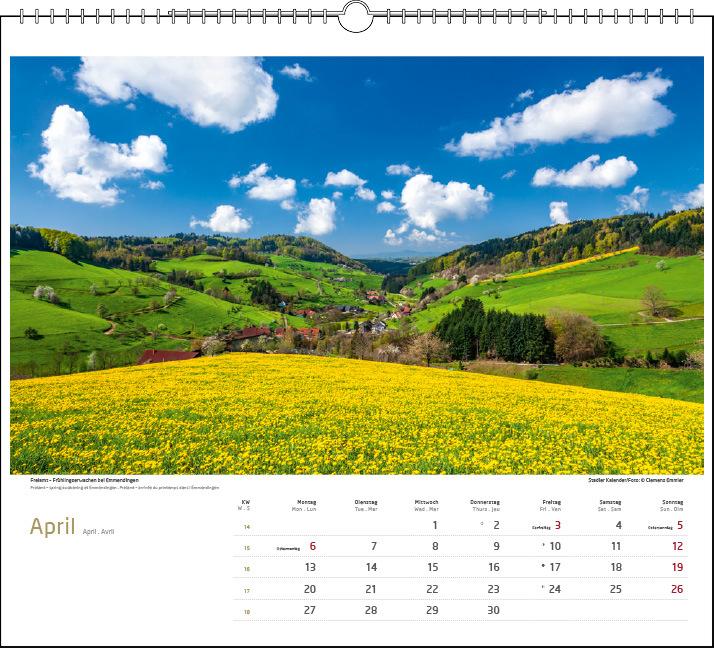 Actual product image Schwarzwald 2026 (Hardcover, German)