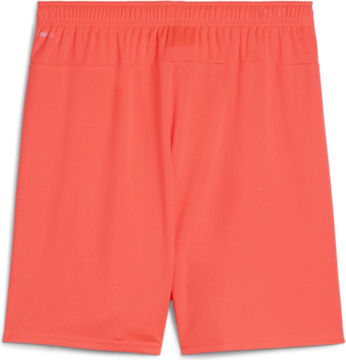 Actual product image Puma teamGOAL shorts (S)