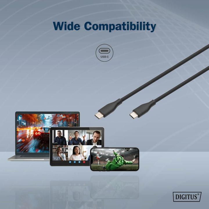 Image du produit Digitus USB C – USB C (0.50 m, USB 2.0)