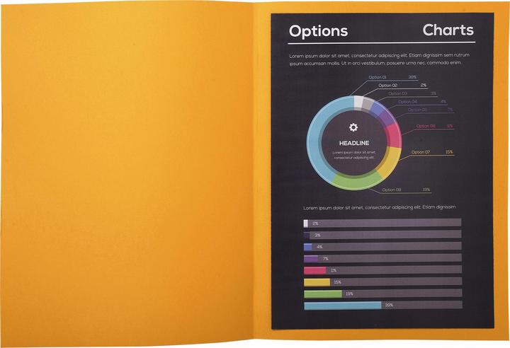Immagine prodotto Exacompta Scrapbook - Copertine di file (A4, 100 x)