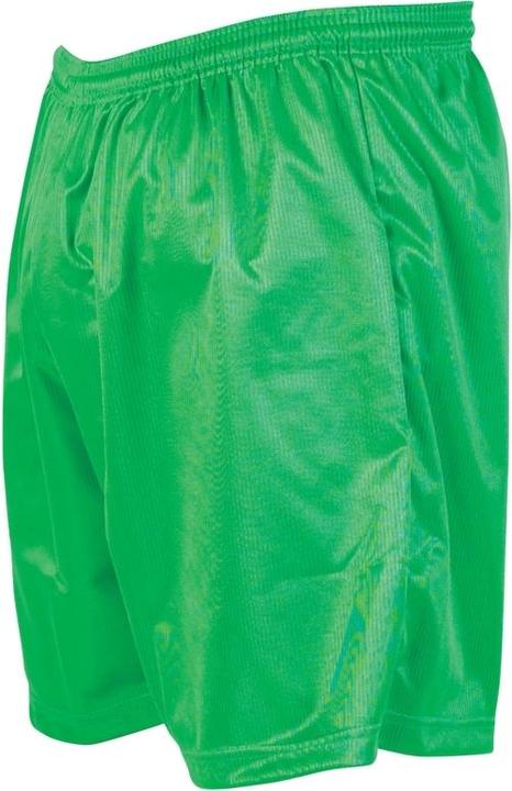Actual product image Precision Micro-stripe shorts (M)