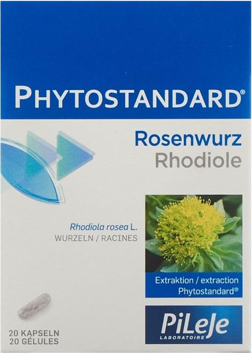 Actual product image Phytostandarts Rose Root - Saffron Tablet (30 Piece, Pills, 36 g)