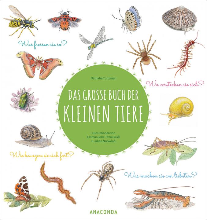 Produktbild Das grosse Buch der kleinen Tiere (Deutsch, Nathalie Tordjman, Emmanuelle Tchoukriel, Julien Norwood, 2022)