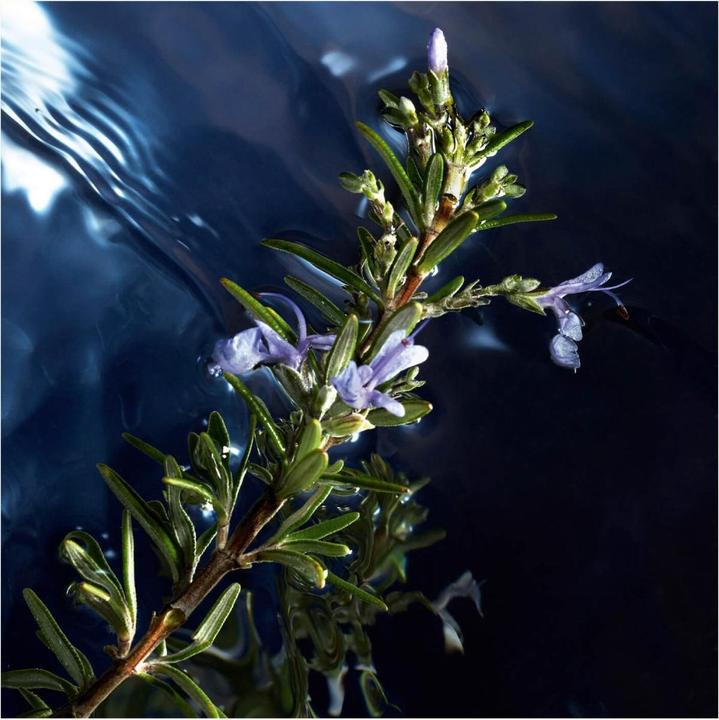 Actual product image Davidoff Reborn Eau de Toilette (Eau de toilette, 75 ml)